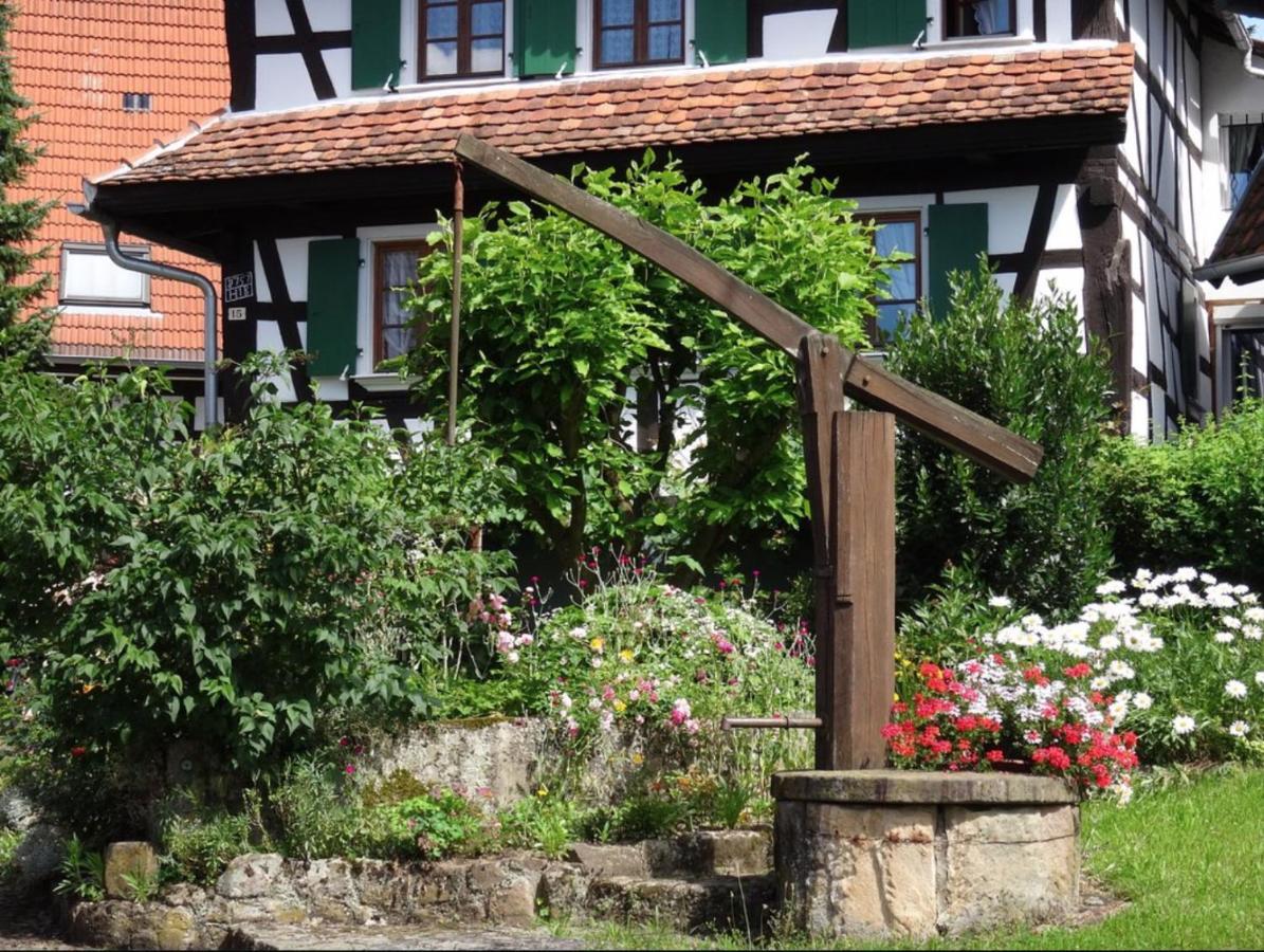 Gites Et Chambres D'Hotes Maison Ungerer Hunspach Exteriör bild