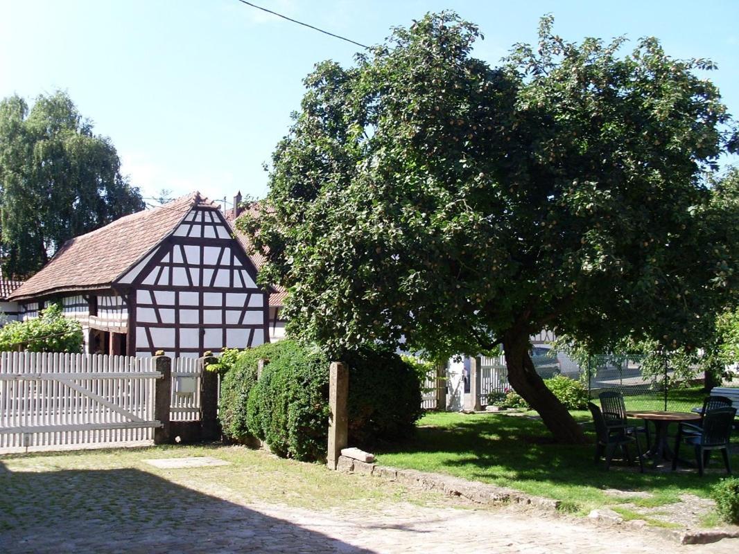 Gites Et Chambres D'Hotes Maison Ungerer Hunspach Exteriör bild