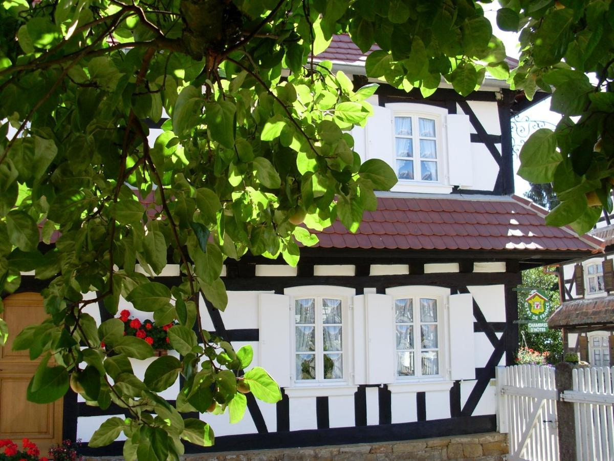 Gites Et Chambres D'Hotes Maison Ungerer Hunspach Exteriör bild