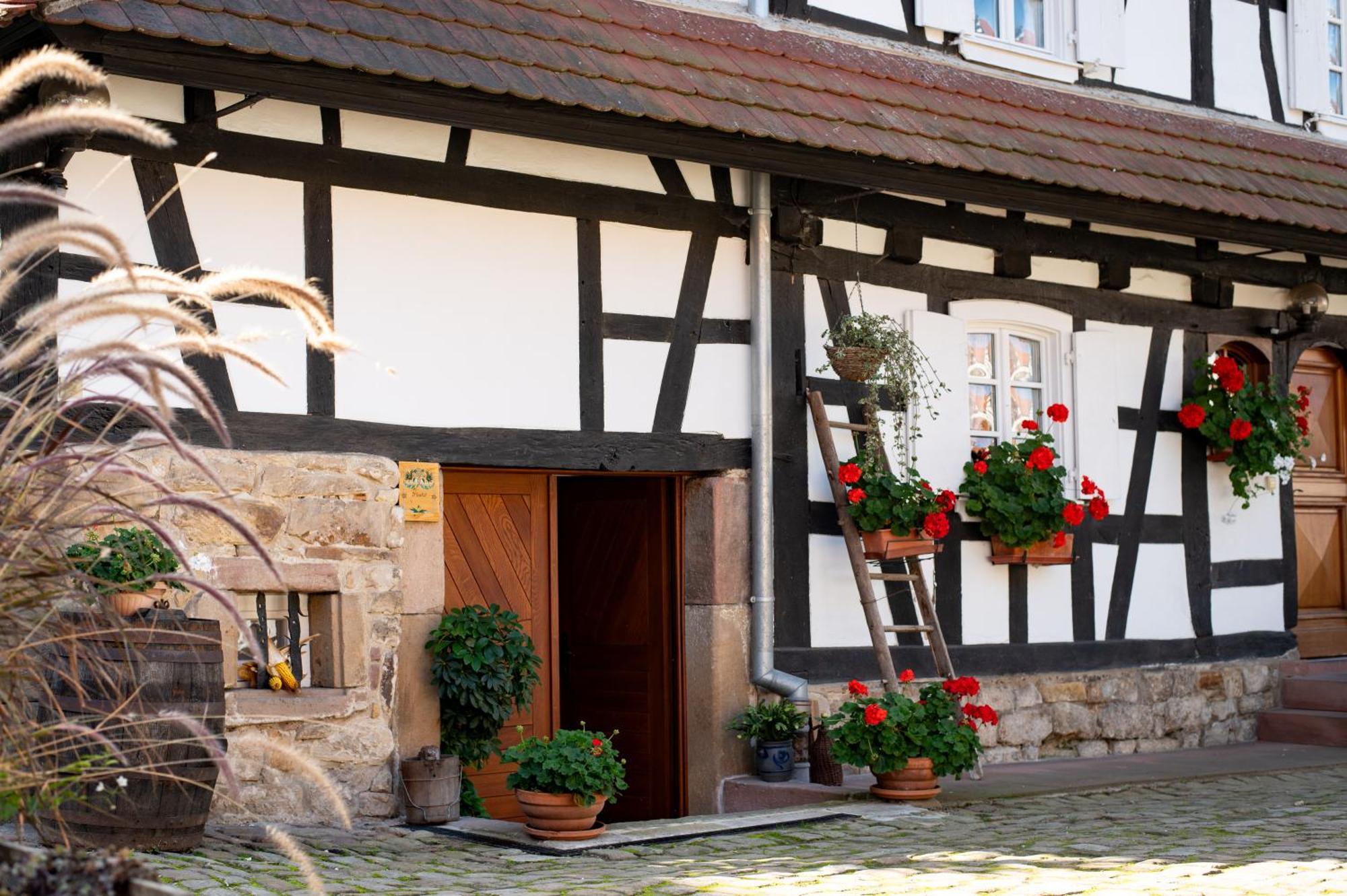 Gites Et Chambres D'Hotes Maison Ungerer Hunspach Exteriör bild