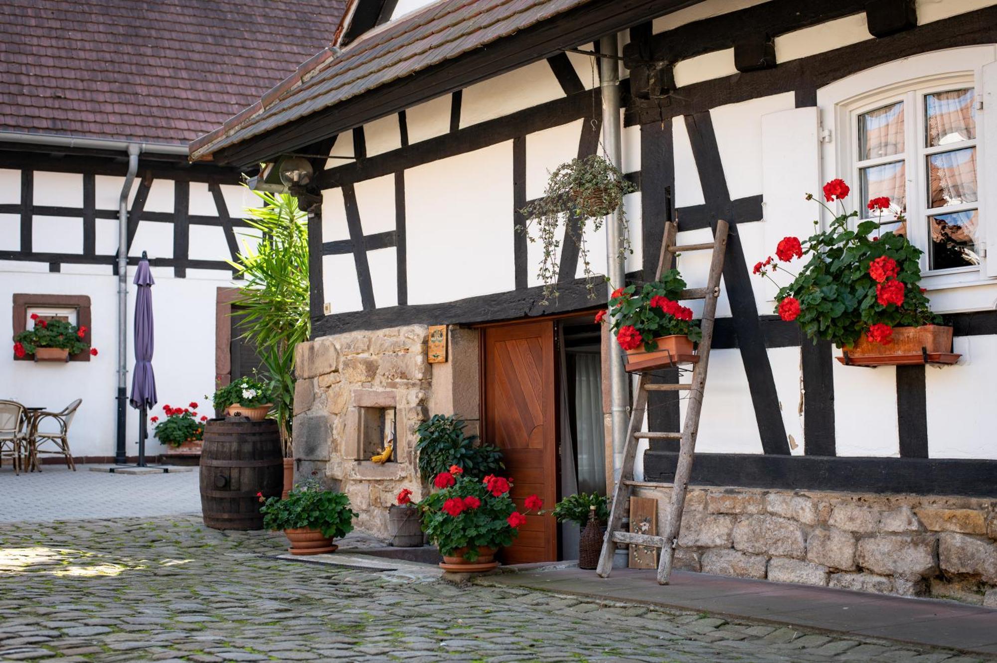 Gites Et Chambres D'Hotes Maison Ungerer Hunspach Exteriör bild
